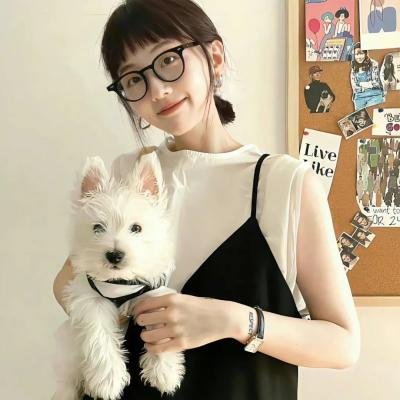 直言真相第二季